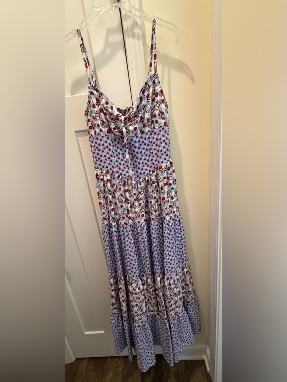 NEW Thorn & Fable Raccoons & Strawberries Strappy Maxi Dress - Hot Topic - Small - Picture 5 of 8